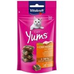 Vitakraft Yums Pollo y Pasto de Trigo 40 G
